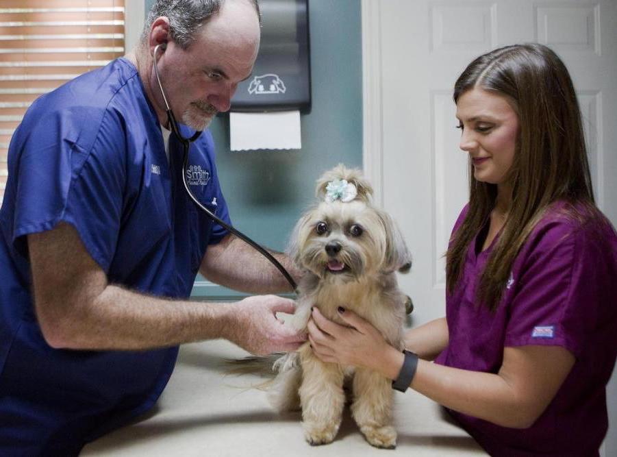 Infection Control and the Veterinary Practice - Vet Advantage