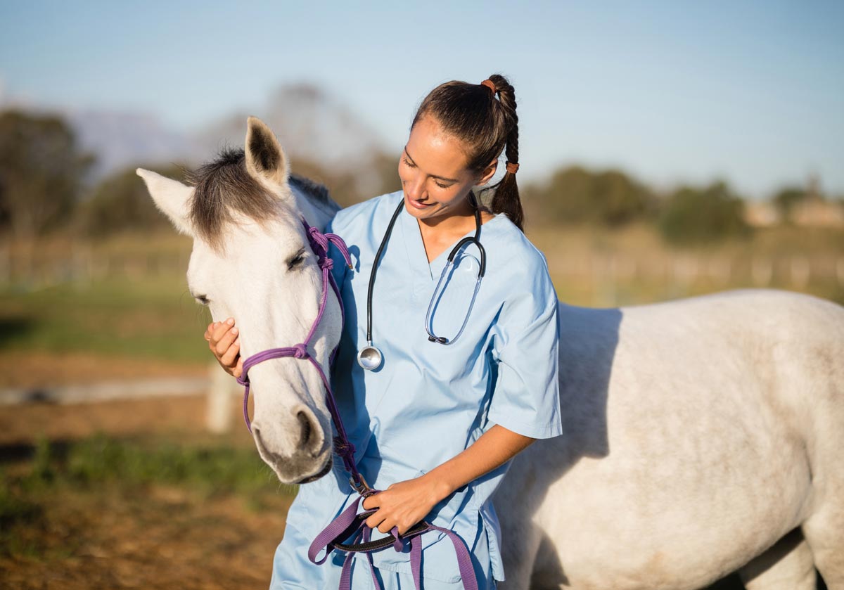 best equine vet near me