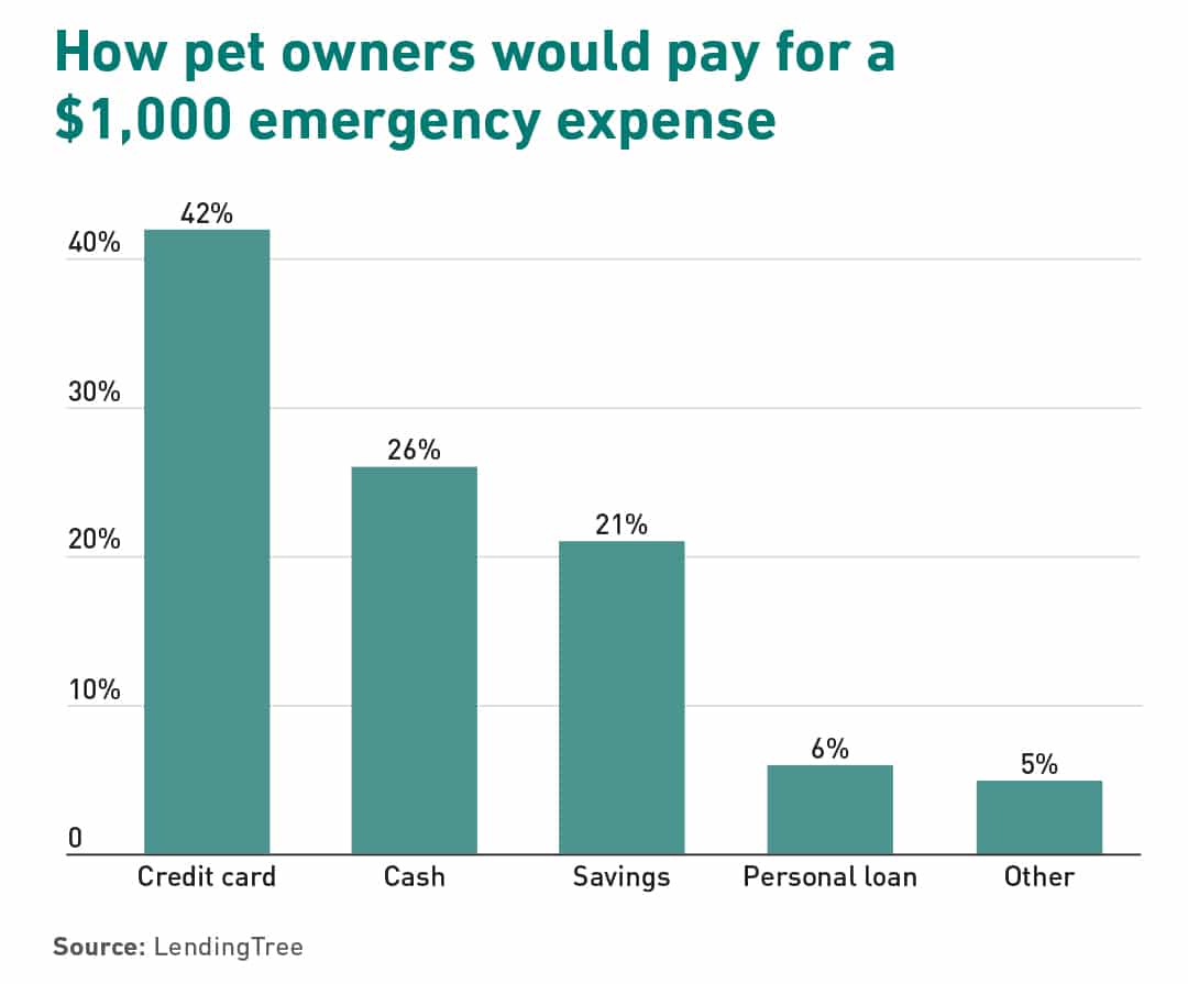 Pet sales emergency cost