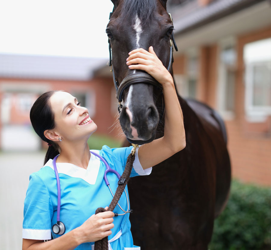 Equine veterinarian rubs horses nose representative of equine veterinarian workforce.